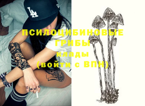 ALPHA PVP Вяземский
