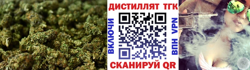магазин    Гусиноозёрск  ТГК концентрат 