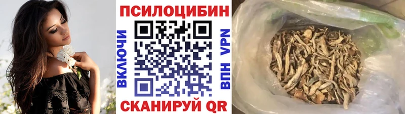 Галлюциногенные грибы прущие грибы  Гусиноозёрск 